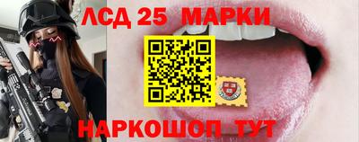 гашик Гатчина