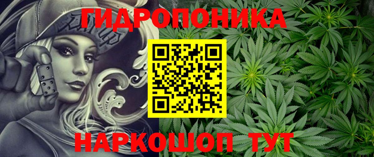 Каннабис план Моздок